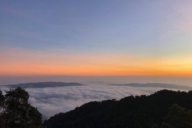 Hoi An/Da Nang guided tour to BANA HILLS with Cham Cham Travel - Fairy Tales, Jardin d’Amour, and the Bridge of Love for that soft, romantic vibe