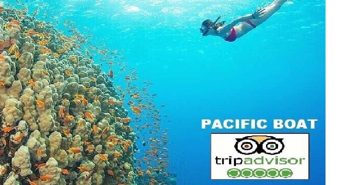 Hoi An/Da Nang: Snorkeling and Island Hopping Speedboat Tour - Quick take: what makes this Cham Islands snorkel day tick