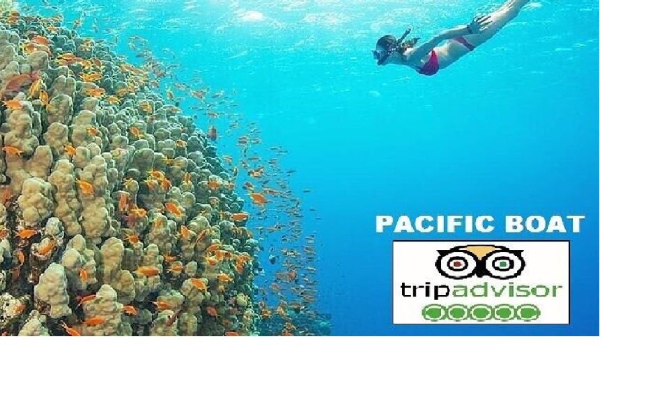 Hoi An/Da Nang: Snorkeling and Island Hopping Speedboat Tour - Pickup and the Cua Dai harbor run-up (Hoi An vs Da Nang)