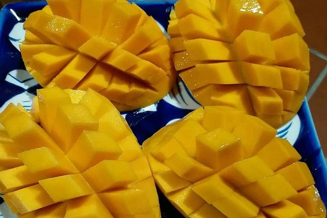 Hoi An/Da Nang: Vegetarian Cooking Class & Basket Boat Ride - Who Should Book This, and Who Might Skip It