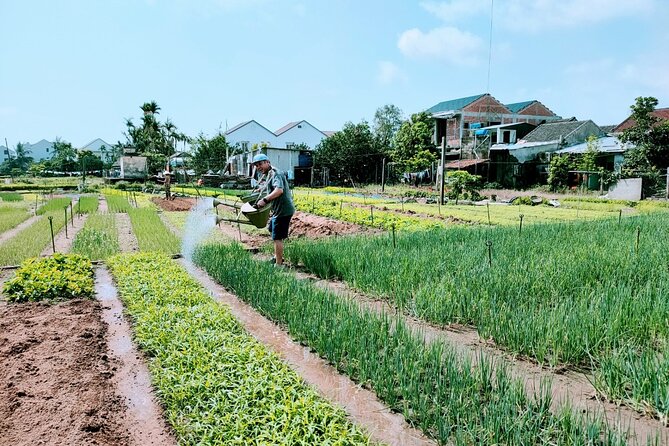 Hoi An Eco-Biking Tour - Price and Value: Is $40 Fair for What You Get?