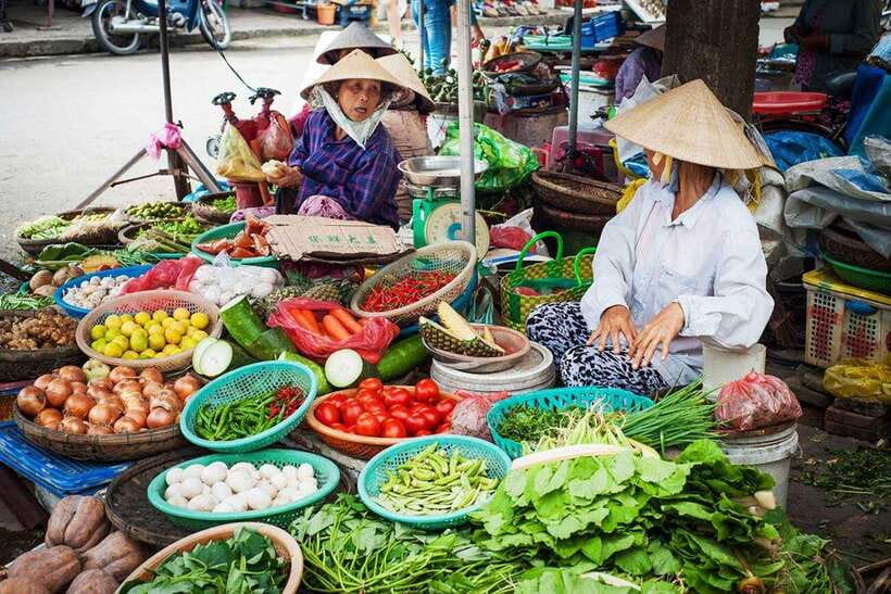 Hoi An: Eco Cooking Class with Market Trip and Basket Boat - Getting Picked Up in Hoi An: Easy Start, No Overthinking