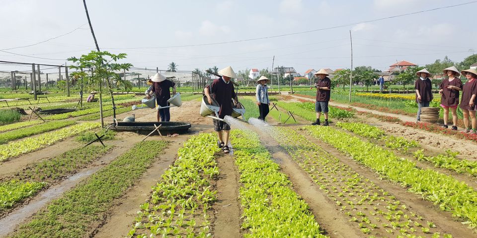 Hoi An: Evening Cooking Class with Locals in Herbs Village - Vegetarian and vegan options: tell them before you book