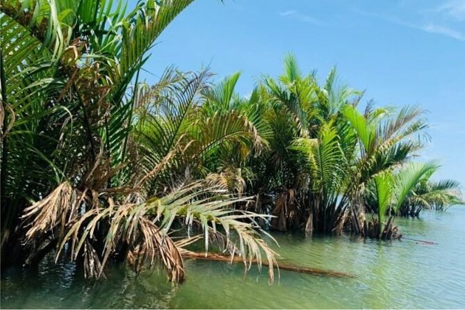 Hoi An Farming And Fishing Life - Tra Que Vegetable Village: the hands-on farm stop you’ll remember