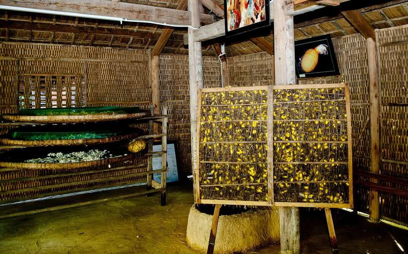 Hoi An: Half-day Silk Weaving Discovery Tour - Silkworm raising house: feeding, cocoon handling, and hands-on learning