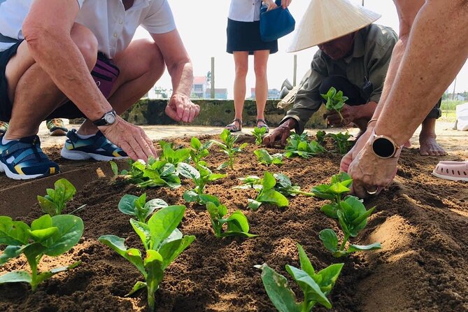 Hoi An Local Market and Vegetable Village Cooking Class - Market Stop in Hoi An: How to Choose Herbs Without Guessing