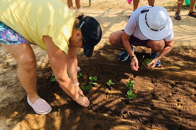 Hoi An Local Market and Vegetable Village Cooking Class - Cam Thanh: Boat Ride Timing and Why It Works Before Cooking