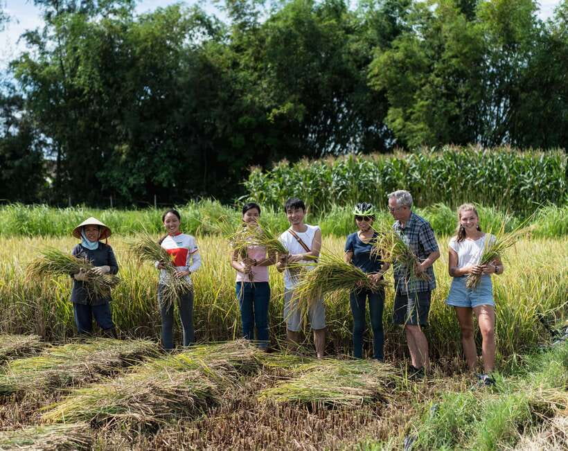 Hoi An: Morning Countryside Tour by Bike - Key highlights worth planning for