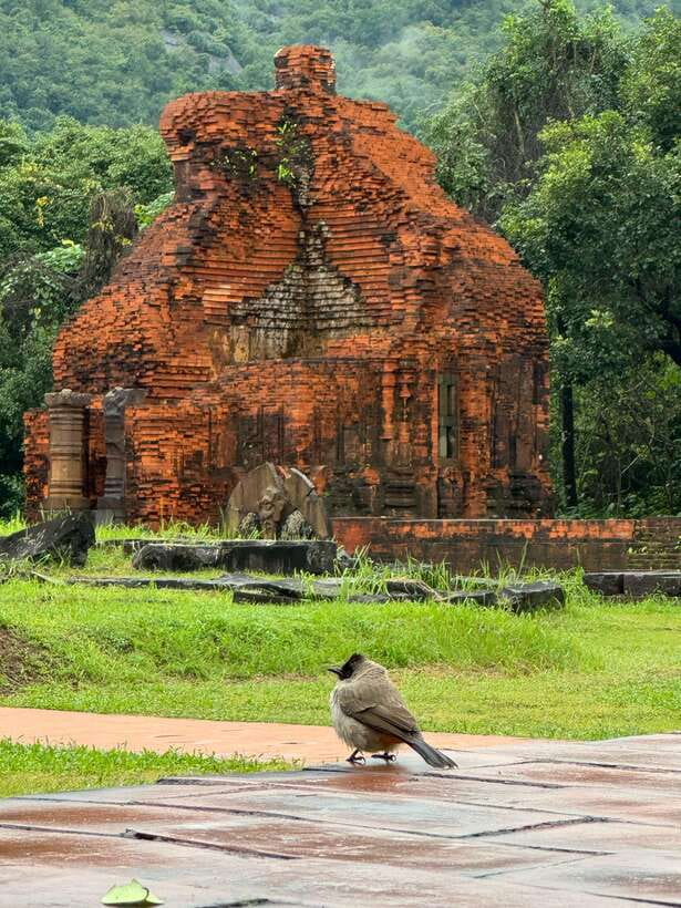 Hoi An: My Son Sanctuary Private Tour with Local Guide - The easiest part: hotel pickup, drop-off, and the ride between worlds