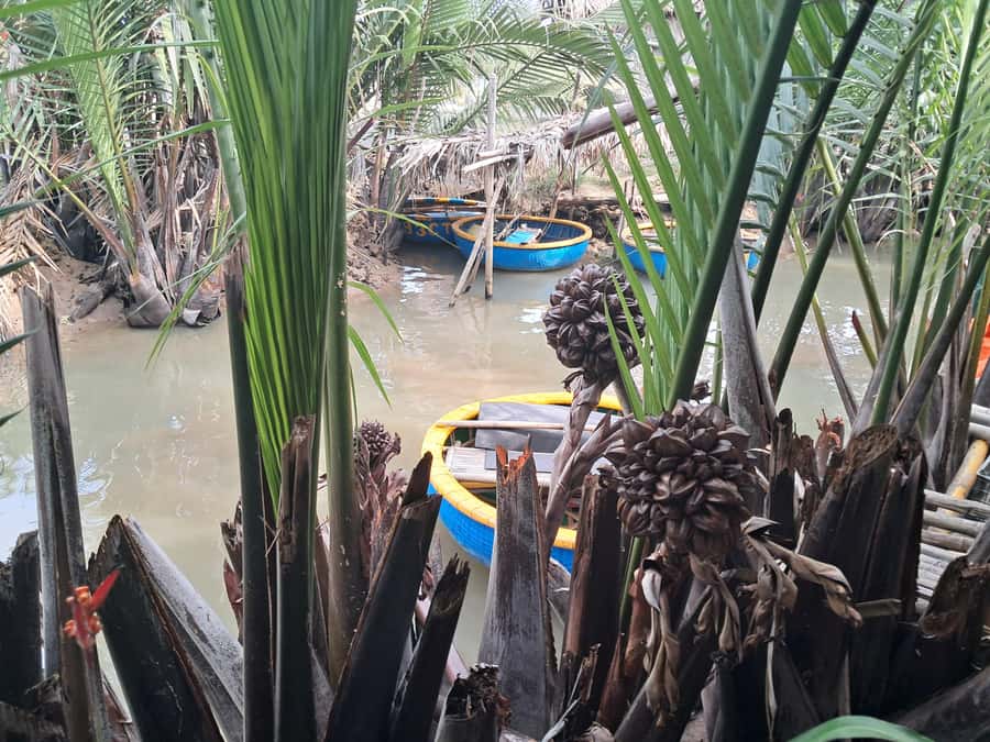 Hoi An: My Son Sanctuary with Basket Boat and Lunch Options - Price and value: what you pay, what’s extra, and how to judge the deal