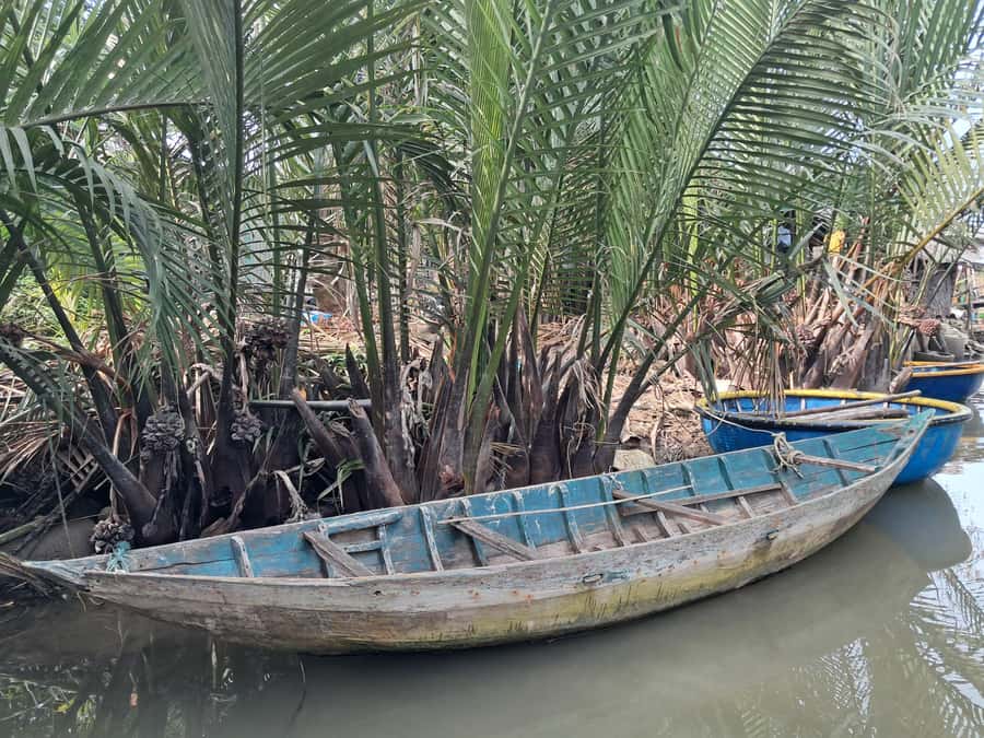 Hoi An: My Son Sanctuary with Basket Boat and Lunch Options - Heat, crowds, and small decisions that make the day easier