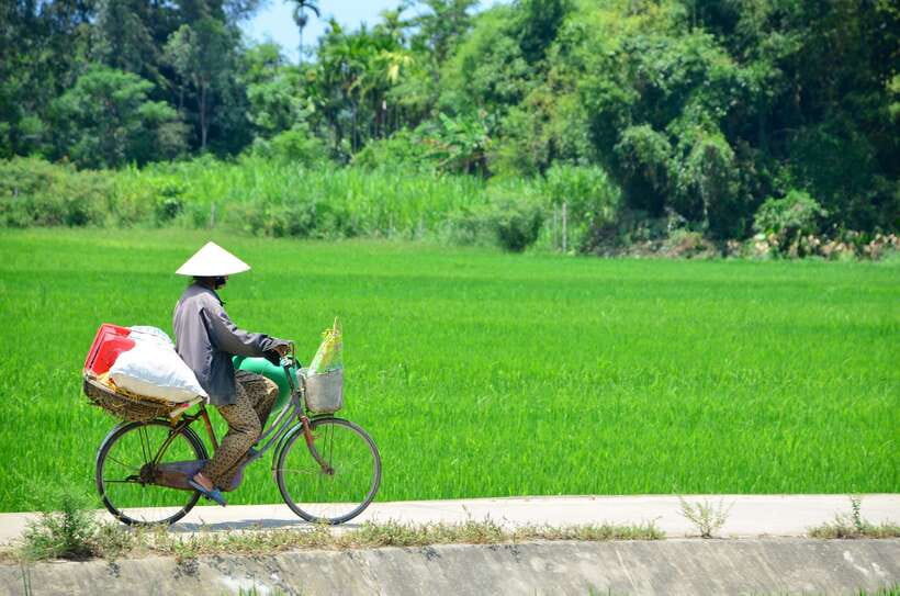 Hoi An: Private Cycling to My Son Sanctuary with Local Guide - Why this Hoi An cycling day hits differently than a typical My Sơn visit