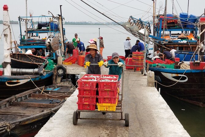 Hoi An Sunrise Private Half Day Tour - Hotel pickup and a small-group flow that keeps the morning stress low