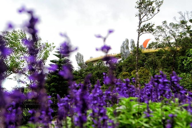 Hoi An to Ba Na Hills Private Car Transfer - Price and Logistics: How the $82 Adds Up