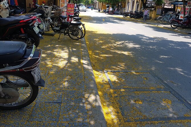 Hoi An town private walking tour with boat trip - Japanese Covered Bridge: Icon Photos, Better Context
