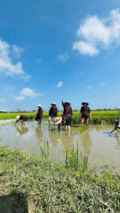 Hoi An Wet Rice Farming Tour-Basket Boat Tour Fishing-Lunch - Wet Rice Farming in Cam Thanh: Seeding, Planting, and Getting Your Hands Dirty