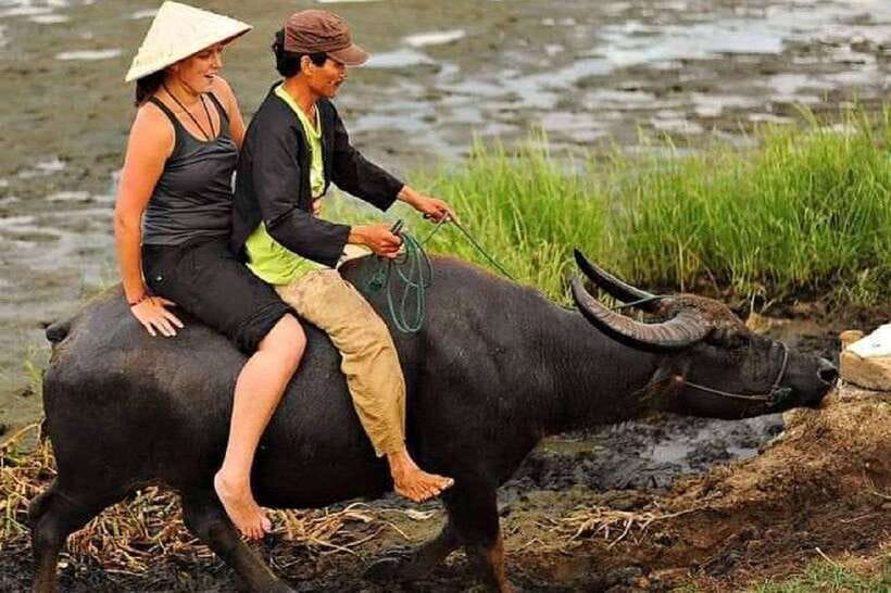 Hoi An Wet Rice Farming Tour-Basket Boat Tour Fishing-Lunch - Buffalo Riding Along the Stream: Fun, Movement, and Mud Reality