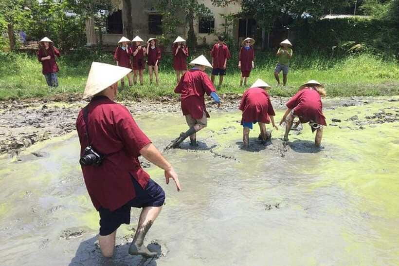 Hoi An Wet Rice Farming Tour-Basket Boat Tour Fishing-Lunch - Price and Time in the Real World: Is $20 Good Value?