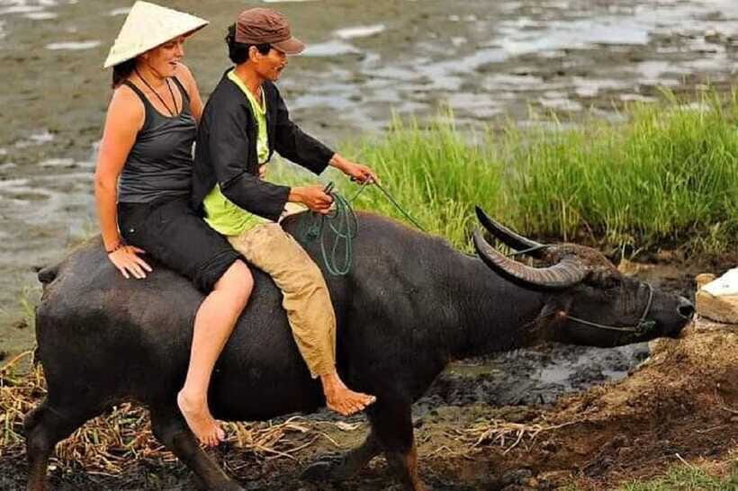 Hoi An Wet Rice Farming Tour-Basket Boat Tour Fishing-Lunch - Logistics That Actually Matter: Hotel Pickup, WhatsApp, and Meeting at Cam Thanh