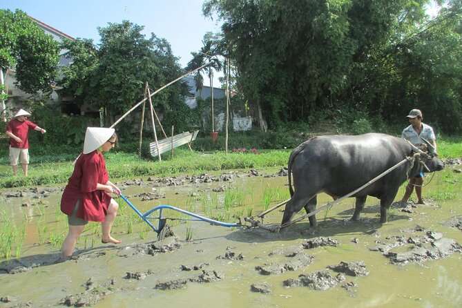 Hoi An Wet Rice Farming Tour Private Round Boat Fishing & Lunch - Hoi An Cam Thanh Rice Fields: Hands-On Vietnam, Not a Museum