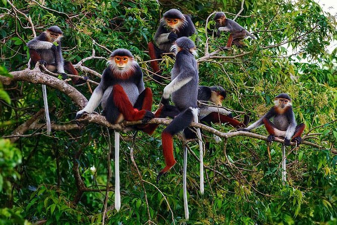 Hue to Dn/Hoi An: Hai Van Pass, beaches & Mt Monkey or vice versa - Price and value: what $59 covers, and what you’ll likely pay extra