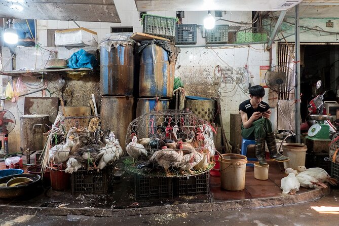 Into the Thieves Market Hanoi Photo Tour - Who should book this tour (and who might not)