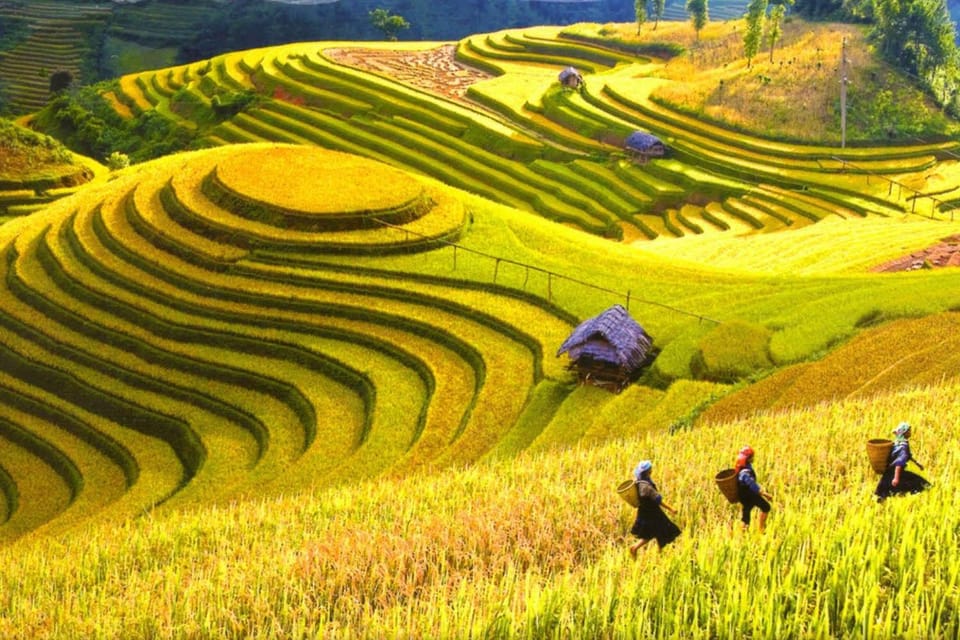 Journey Through Sapa Terraces & Traditions - Price and Value: Why About $20 Can Make Sense Here