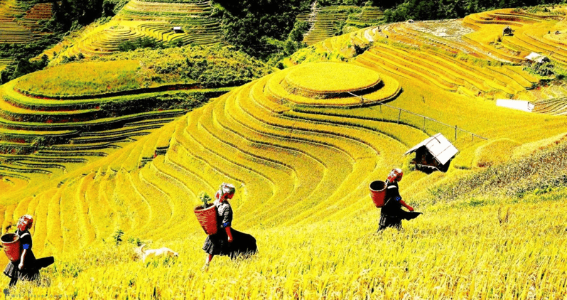 Journey Through Sapa Terraces & Traditions - Why This Sapa Trek Feels More Like Real Walking Than a Tour Bus