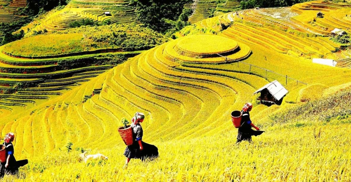Journey Through Sapa Terraces & Traditions - Pace, Rain, and What to Pack (So You Stay Comfortable)