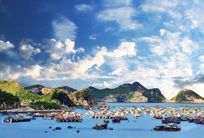La Pandora Cruise Explore Ha Long Bay and Cat Ba Island 2 days 1 night on boat - La Pandora Cruise: modern cabins, sundecks, and a ship that feels designed