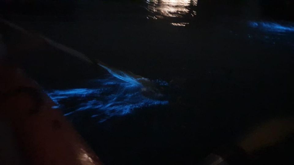 Lan Ha Bay: Sunset & Plankton Bioluminescent Night Kayaking - Time Management: Why the 4-Hour Format Works