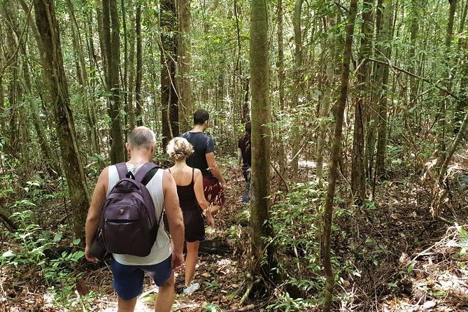Land Tour 2: Discover the North - Kayaking & Starfish beach Phu Quoc (Not Lunch) - Stop 4: Kayaking the Cua Can River (the action that earns its time)