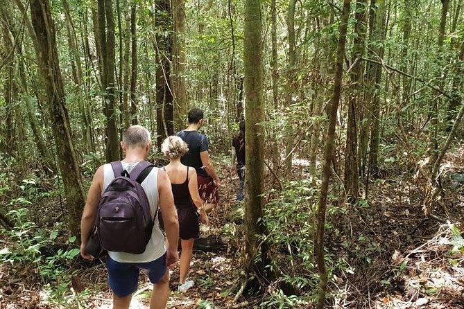 Land Tour 2: Discover the North - Kayaking & Starfish beach Phu Quoc (Not Lunch) - Guides make the day: Ren, Woa, and Viet energy