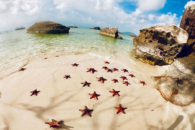 Land Tour 2: Discover the North - Kayaking & Starfish beach Phu Quoc (Not Lunch) - Price and what $44 really covers on the ground