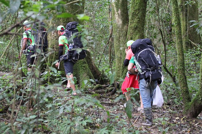 Langbiang Green Trekking Tours - Signature Trekking Da Lat - From Da Lat to Langbiang: What Makes This Trek Worth Your Day