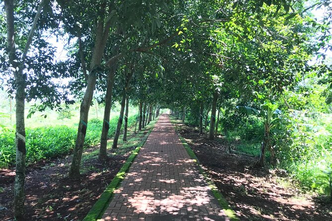 Long Tan Battlefield Day Tour - "Lest We Forget" - The 8 am start: your day trip rhythm from Ho Chi Minh City
