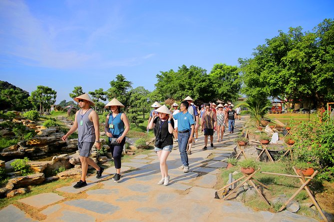 Luxury Hoa Lu Tam Coc Mua Cave 1 Day With Limousine Bus And Lunch - Tam Coc-Bich Dộng: Sampan Through Three Caves on the Ngo Dong River