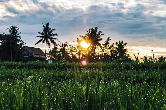 LUXURY Mekong 2 Days 1 Night SMALL GROUP Stay at Tiny Homestay with BBQ Dinner - Cooking class: turning what you saw into what you can make