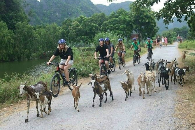 Luxury small Group Hoa Lu - Tam Coc - Mua Cave Max 6 - 8 pax/tour - Mua Cave viewpoint: steps, walking, and rural scenery along the way