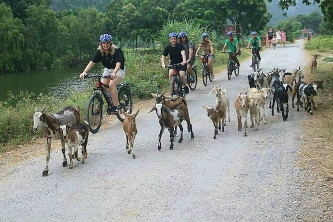 Luxury Small Group Tour in Tam Coc, Mua Cave, Bich Dong Pagoda - Getting back to Hanoi and keeping the day comfortable
