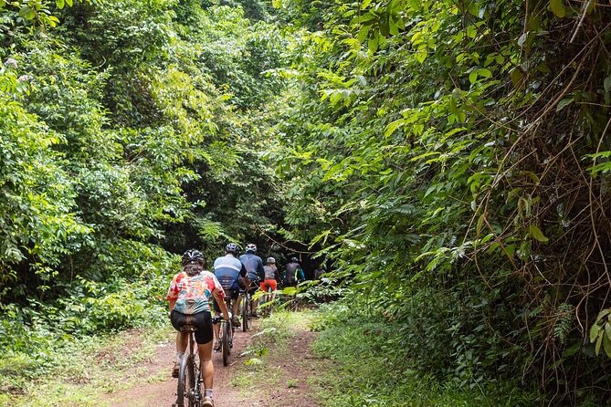 Ma Da Jungle Cycling Adventure - Key highlights you’ll care about