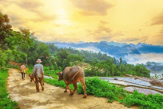 MAI CHAU 1 DAY TOUR | HIDDEN CHARM | SHARED or PRIVATE OPTIONS - Stop 1: Thung Khe Pass for mountain views and a local market break