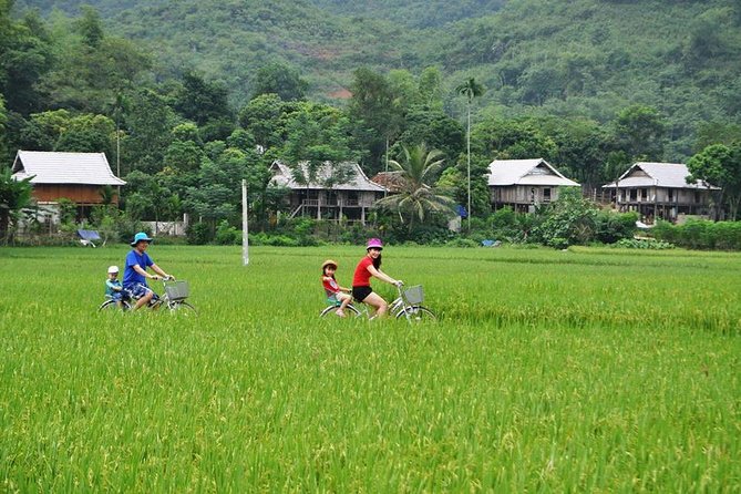 Mai Chau Nature and Village Private Day Tour - Why Mai Chau Works as a Day Trip from Hanoi