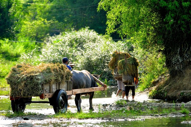 Mai Chau Private Day Tour: Hiking & Biking in Pristine Landscapes - The cycling day: Lac Village and Pom Coong Village on two wheels