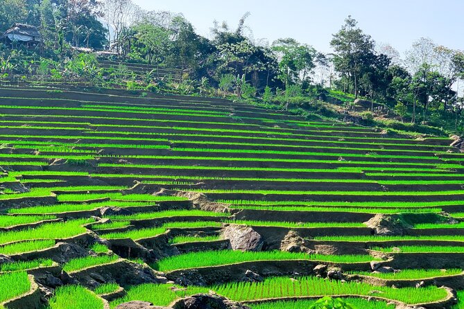 Mai Chau - Pu Luong 2 days - Trekking and cycling in Pu Luong Nature Reserve: moderate effort, real rewards