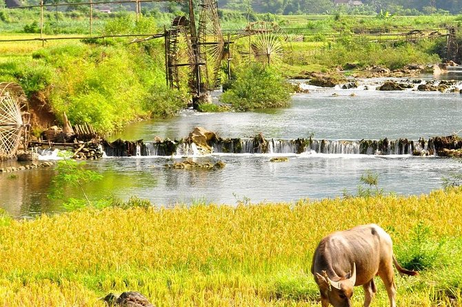 Mai Chau - Pu Luong trekking 3 days 2 nights - Day 3: Ban Hieu climbs, Pho Doan village time, and the ride back to Hanoi