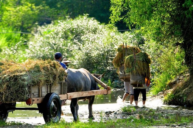 Mai Chau - Pu Luong trekking 3 days 2 nights - Guides and the small details that change your day