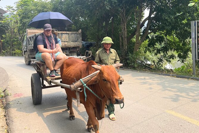 Majestic Ninh Binh Discovery: Mua Cave & Tam Coc private tour - Tam Coc by sampan: the slow float that makes the scenery click