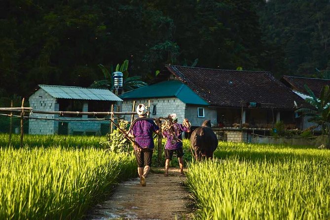 Majesty Of Untouched Northern Vietnam Tour 6 Days - Homestays and 3-star hotels: comfort expectations