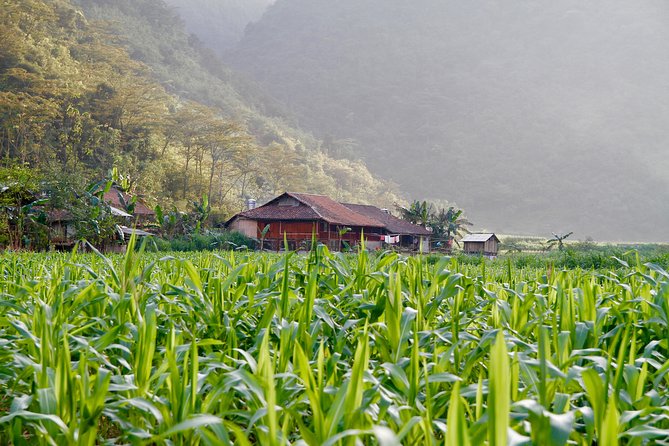 Majesty Of Untouched Northern Vietnam Tour 6 Days - Meals, water, and what to budget for on the side